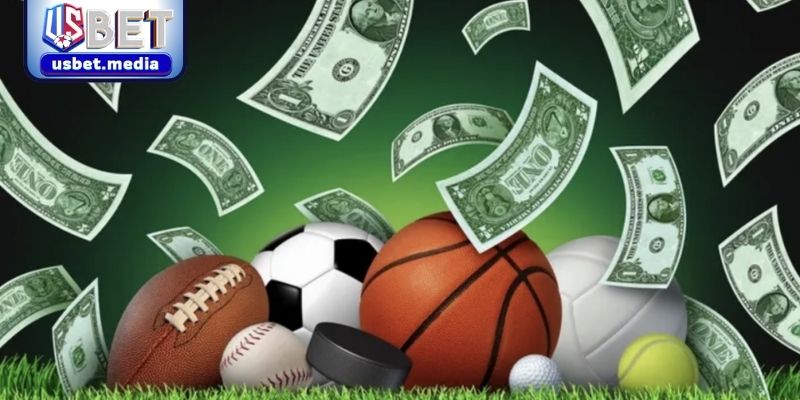 Hoàn cược thể thao 1,5% tăng cơ hội thắng hiệu quả