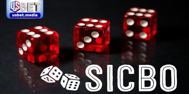 Sicbo Là Gì - Khám Phá Trò Chơi Xúc Xắc Hấp Dẫn Tại USBET Sicbo là gì – Giải đáp thắc mắc cơ bản và chiến thuật